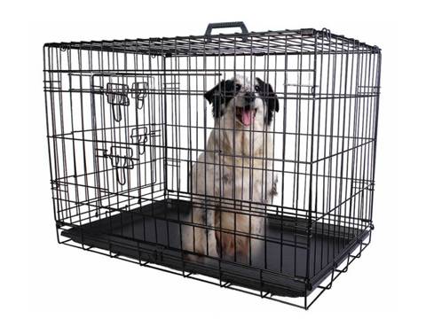 A dog is sitting on the black plastic pan and looking outside in the animal cage.