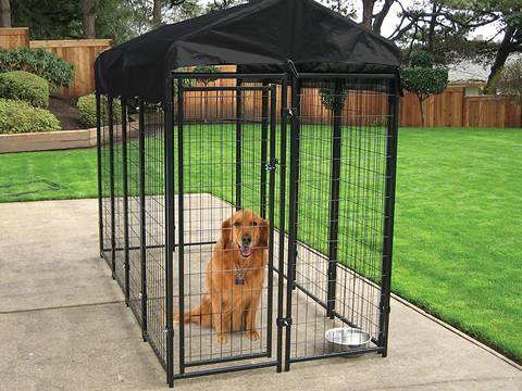 A black rectangular animal kennel is in the courtyard, a large dog and a pot are in it.
