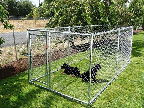 A chain link dog kennel is installed in farm with two dogs in it.