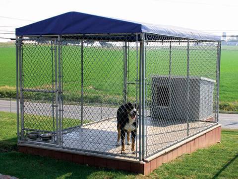 The chain link dog kennel is in a huge park with a dog in it.