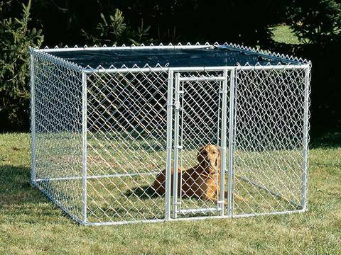 A dog is in the chain link dog kennel in pasture.
