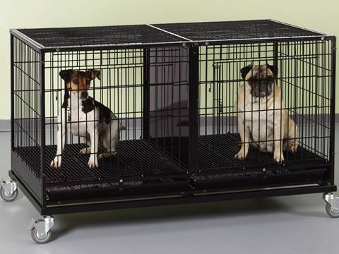 A dog cage with four wheels is divided into two rooms, and each room has a dog.