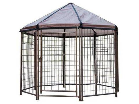 This is a polygonal welded wire dog kennels with shade cloth.