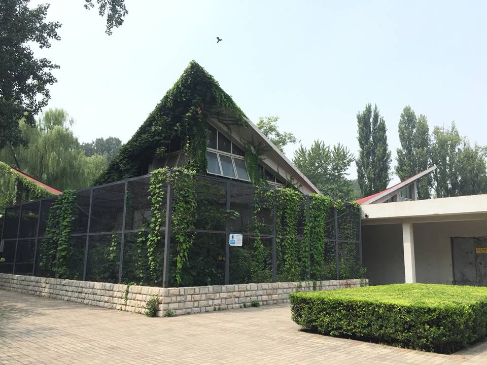 Welded mesh with metal frame as animals house and green plants are inside and outside the cage.