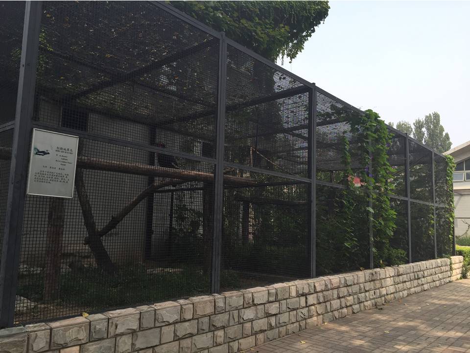 Black painting welded mesh with metal frame as large bird house and green plant is on the mesh