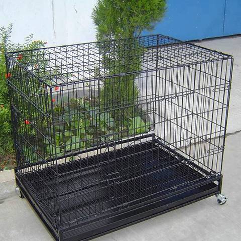 A black welded wire mesh cage with bottom pan and universal wheel beside the green plants.