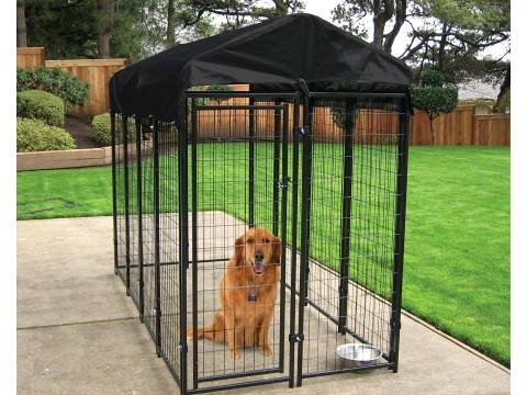 The welded wire dog kennel is in family garden with a dog in it.