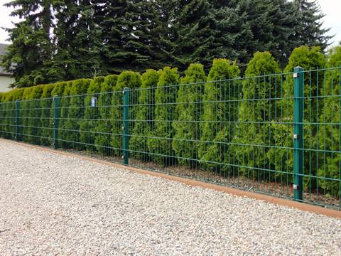 PVC coated welded wire mesh fence is beside a row of pine trees in a park.