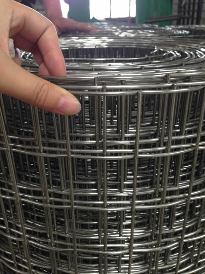 A roll of stainless steel welded wire mesh with strong welding spot.