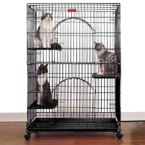 A black cat cage with four wheels is in the room, and three cats are sitting on the resting benches.