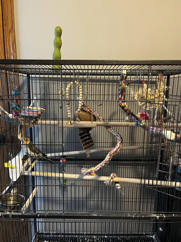 Cage mesh used for aviaries