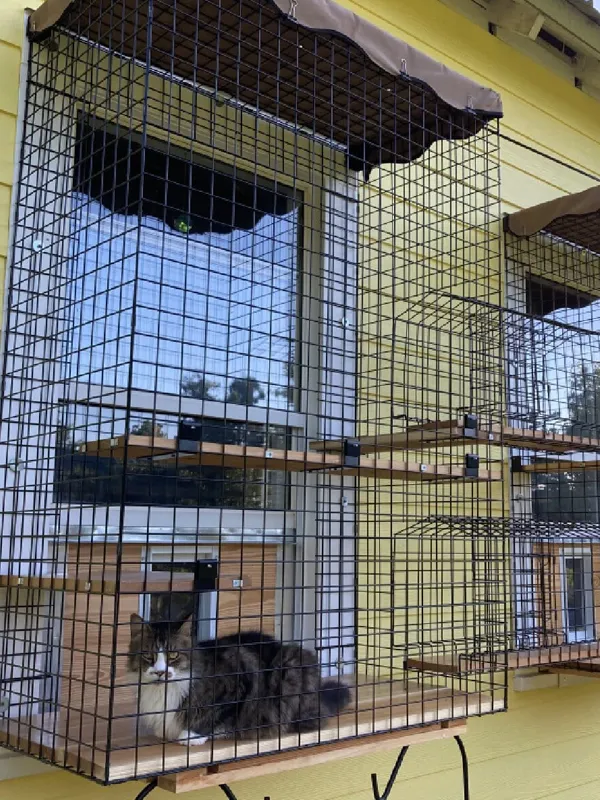 Cage mesh used for cat enclosures