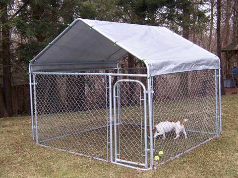 A dog is hanging in the chain link dog kennel in forest.