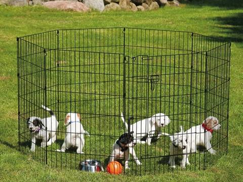 Several dogs are playing a ball in a black dog pen with eight sides.