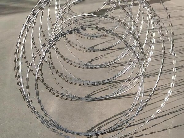 Inside view of double coil concertina razor wire