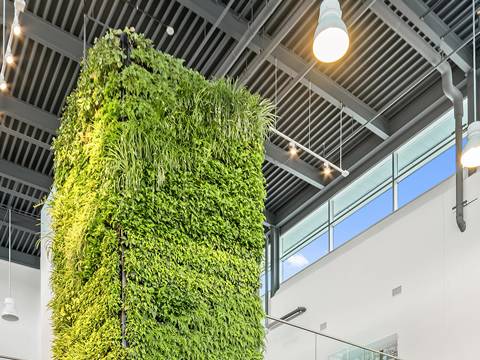 A landscaping pillar are erect in the display hall with plants climbing on it.