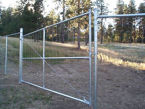 Galvanized welded mesh panel is used as protecting fence and gate in forest.