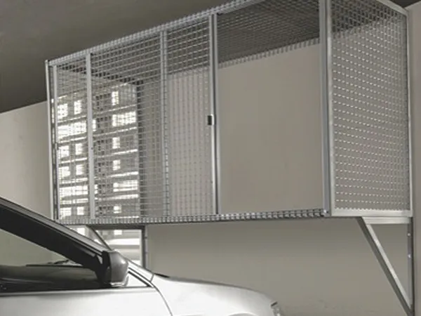 Garage storage locker above a parked car.