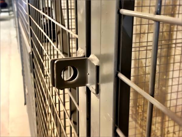  The detail of padlock hasp on the wire mesh storage locker gate.