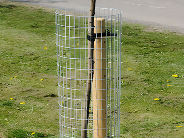 A tree sapling by the roadside grassland wrapped in Weld Mesh Tree Guards.