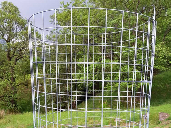 A Weld Mesh Tree Guard installed in a woodland.