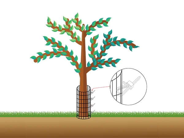 Wrap the mesh sheet around tree trunk and secure the seam with zip ties.